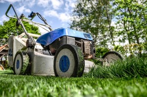 Outdoor lawn gardening