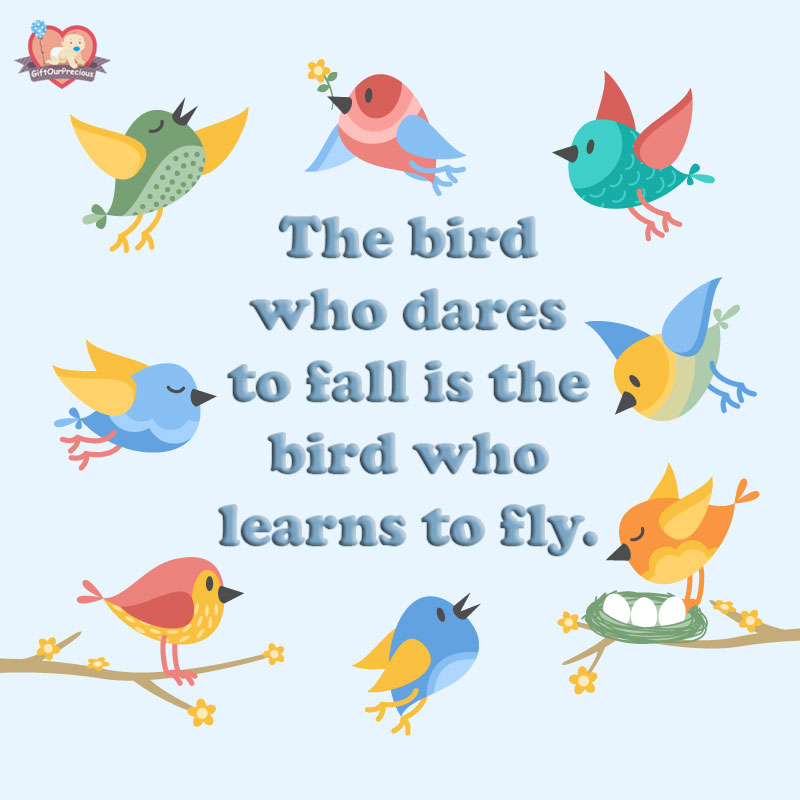 The bird who dares to fall is the bird who learns to fly.
