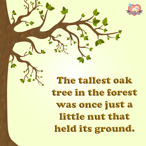 The tallest oak tree in the forest was once just a little nut that held its ground.
