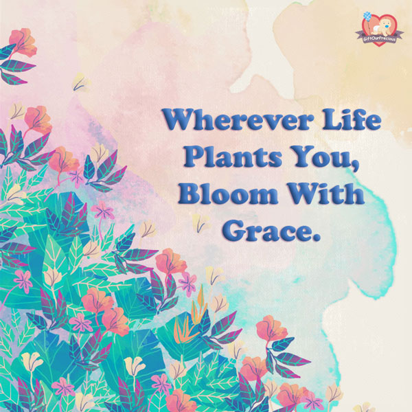 Wherever Life Plants You, Bloom With Grace.