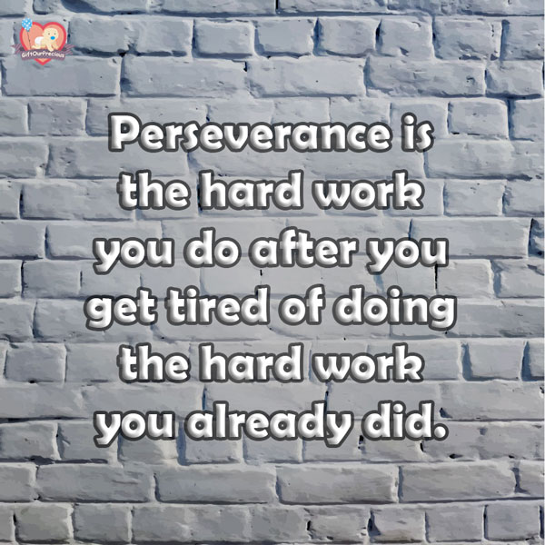 Perseverance is the hard work you do after you get tired of doing the hard work you already did.