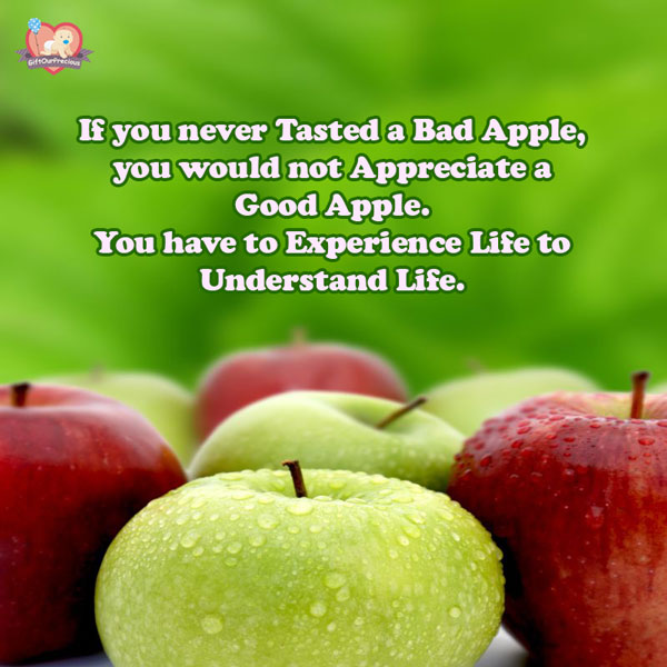 If you never Tasted a Bad Apple, you would not Appreciate a Good Apple. You have to Experience Life to Understand Life.