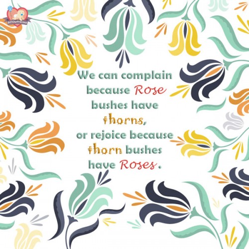 We can complain because Rose bushes have thorns, or rejoice because thorn bushes have Roses.