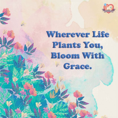 Wherever Life Plants You, Bloom With Grace.