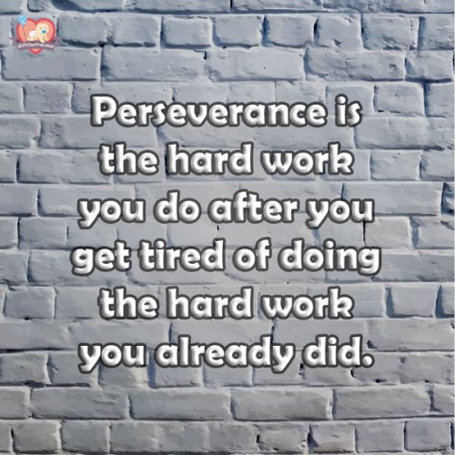 Perseverance is the hard work you do after you get tired of doing the hard work you already did.