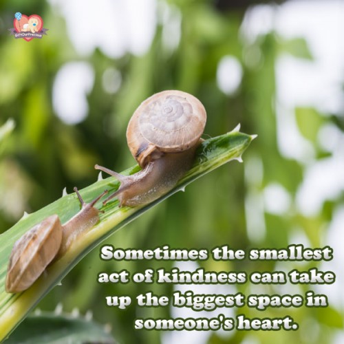Sometimes the smallest act of kindness can take up the biggest space in someone's heart.