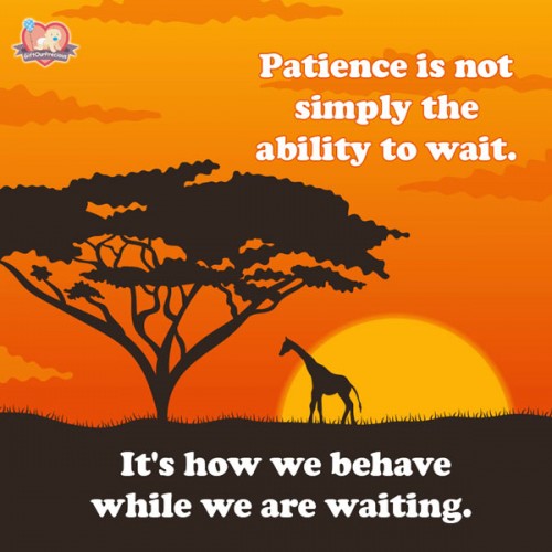Patience is not simply the ability to wait. It's how we behave while we are waiting.
