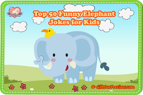 Top 50 Funny Elephant Jokes for Kids