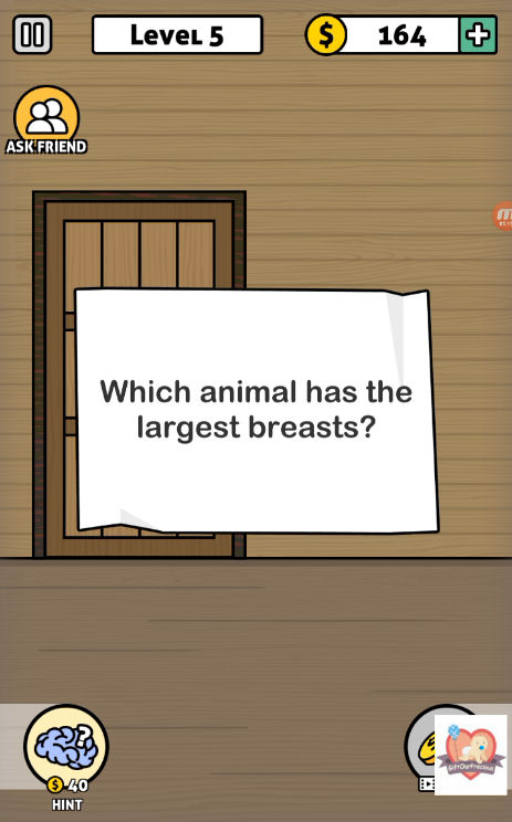 What Animal Has The Largest Breasts