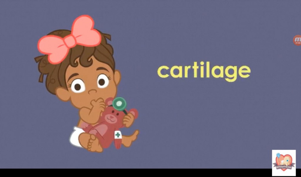 Learn about Skeletal System for Kids - baby cartilage 4