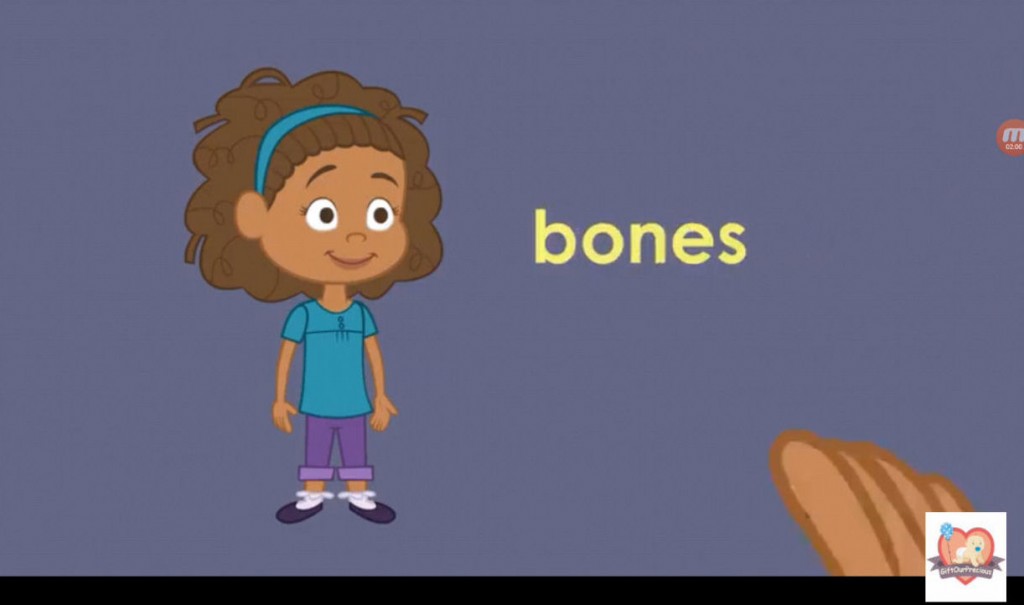 Learn about Skeletal System for Kids - cartilage turns into bones 6