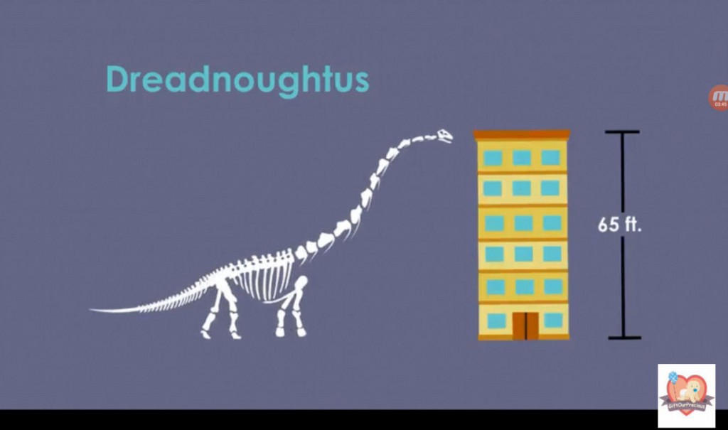 Learn about Skeletal System for Kids - dinosaur as high as 65ft16